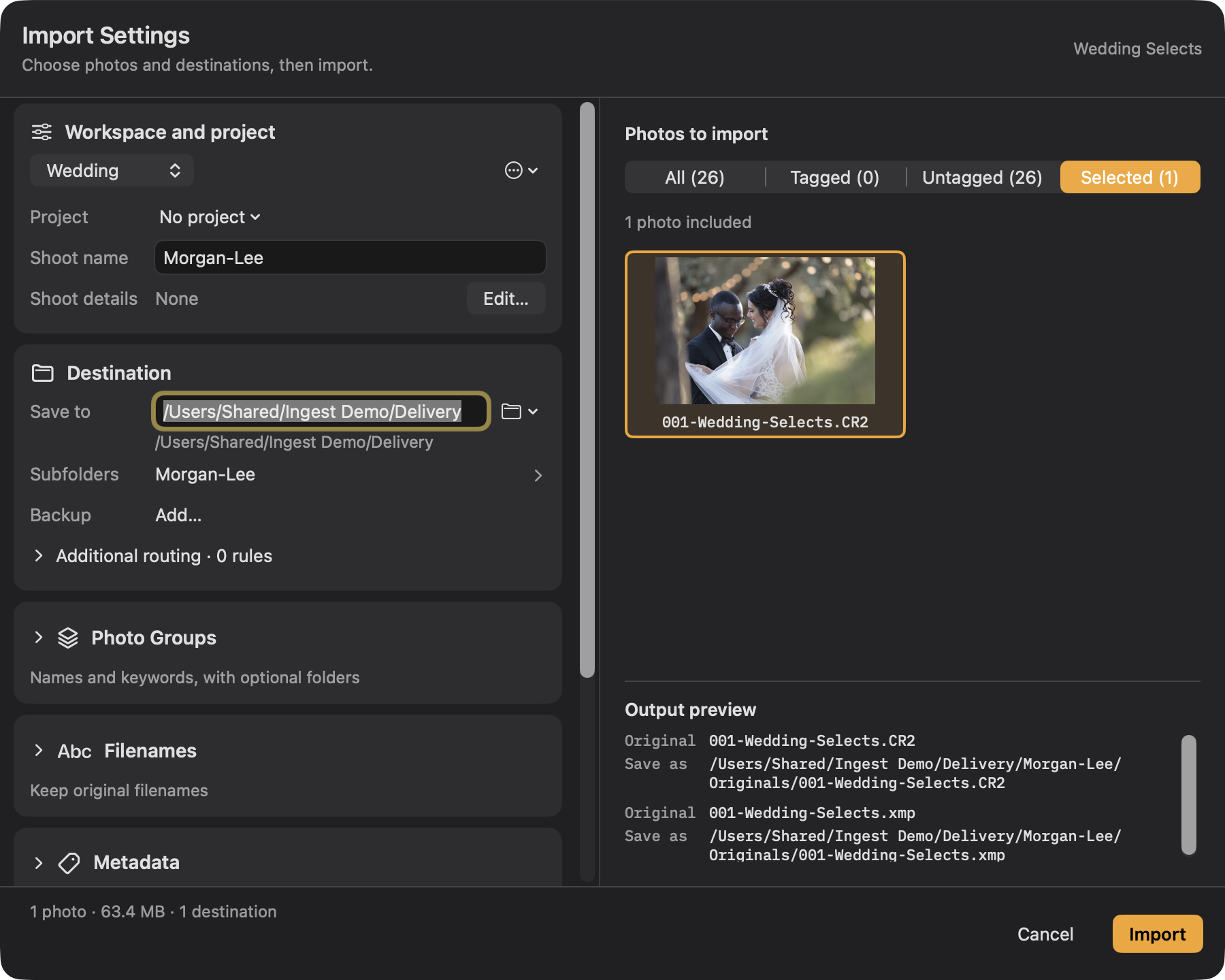 Import Settings with planned output paths