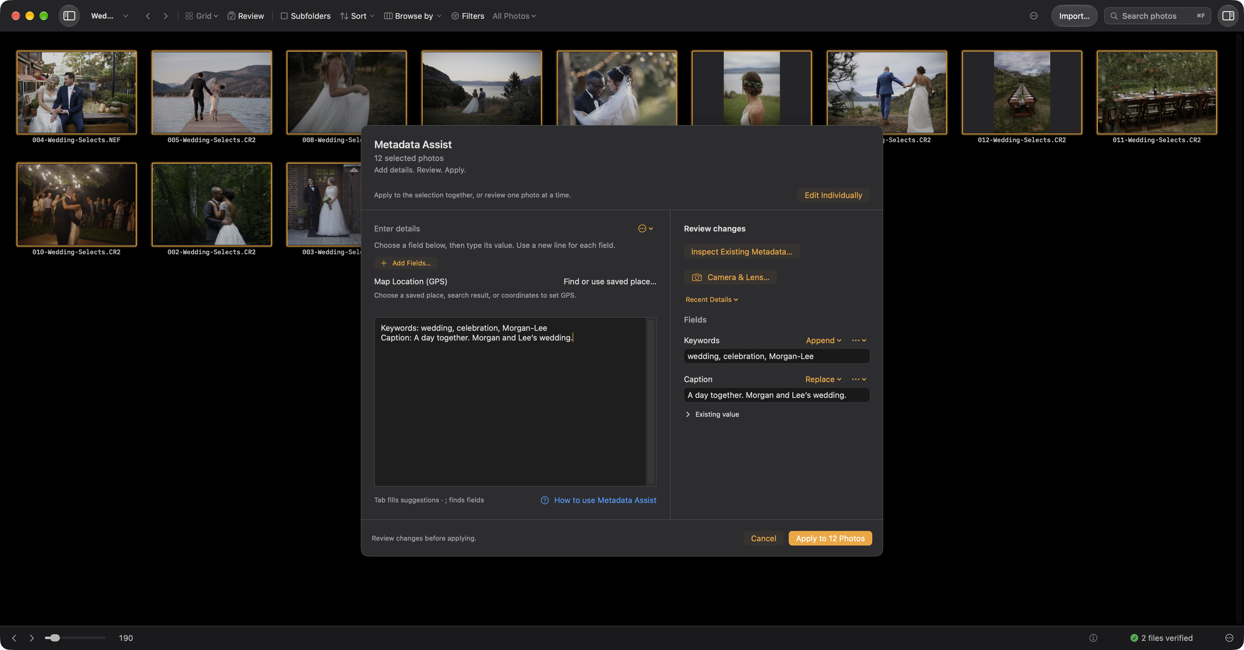 Metadata Assist with caption and keyword drafts