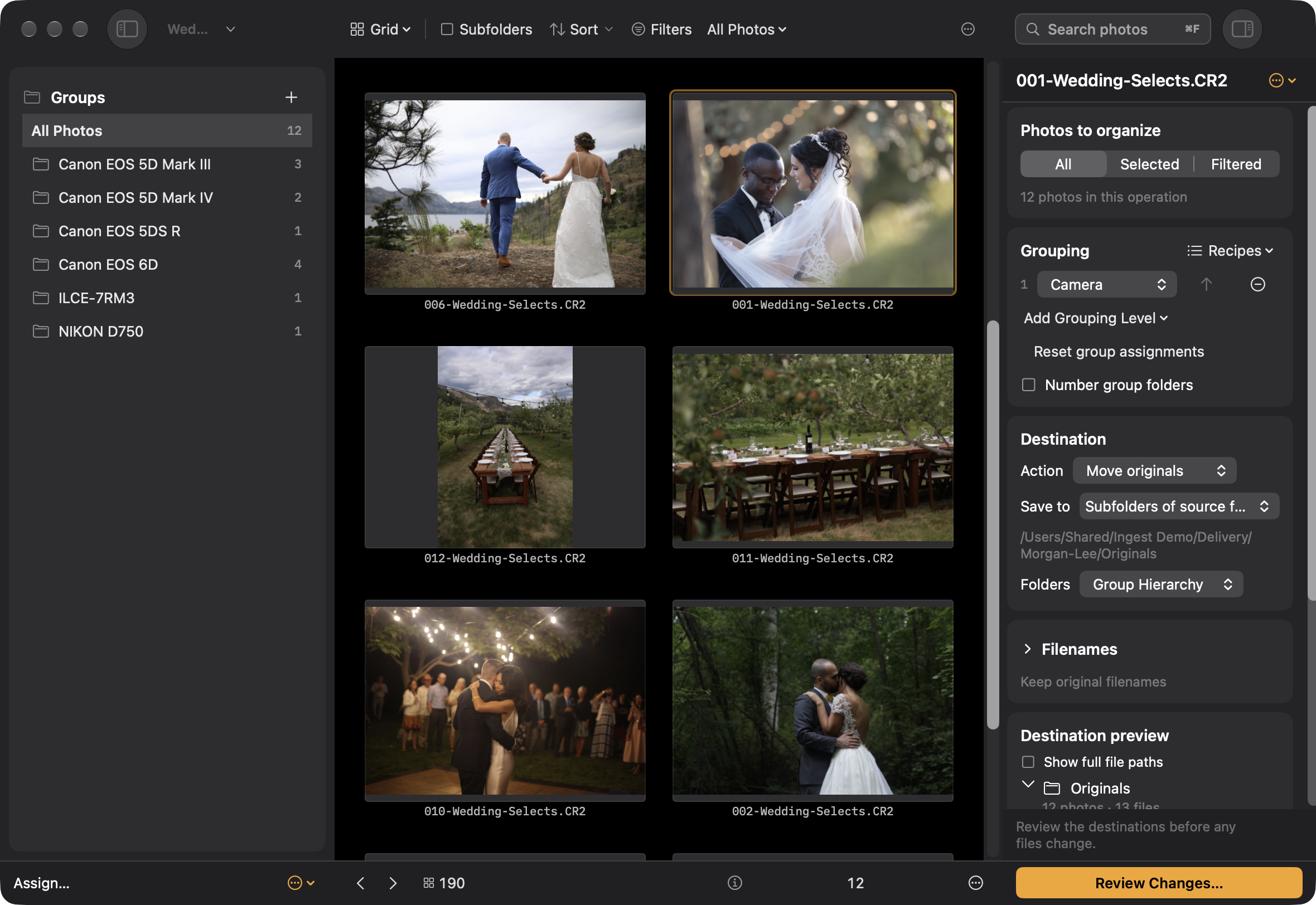 Organize with camera grouping and destination preview