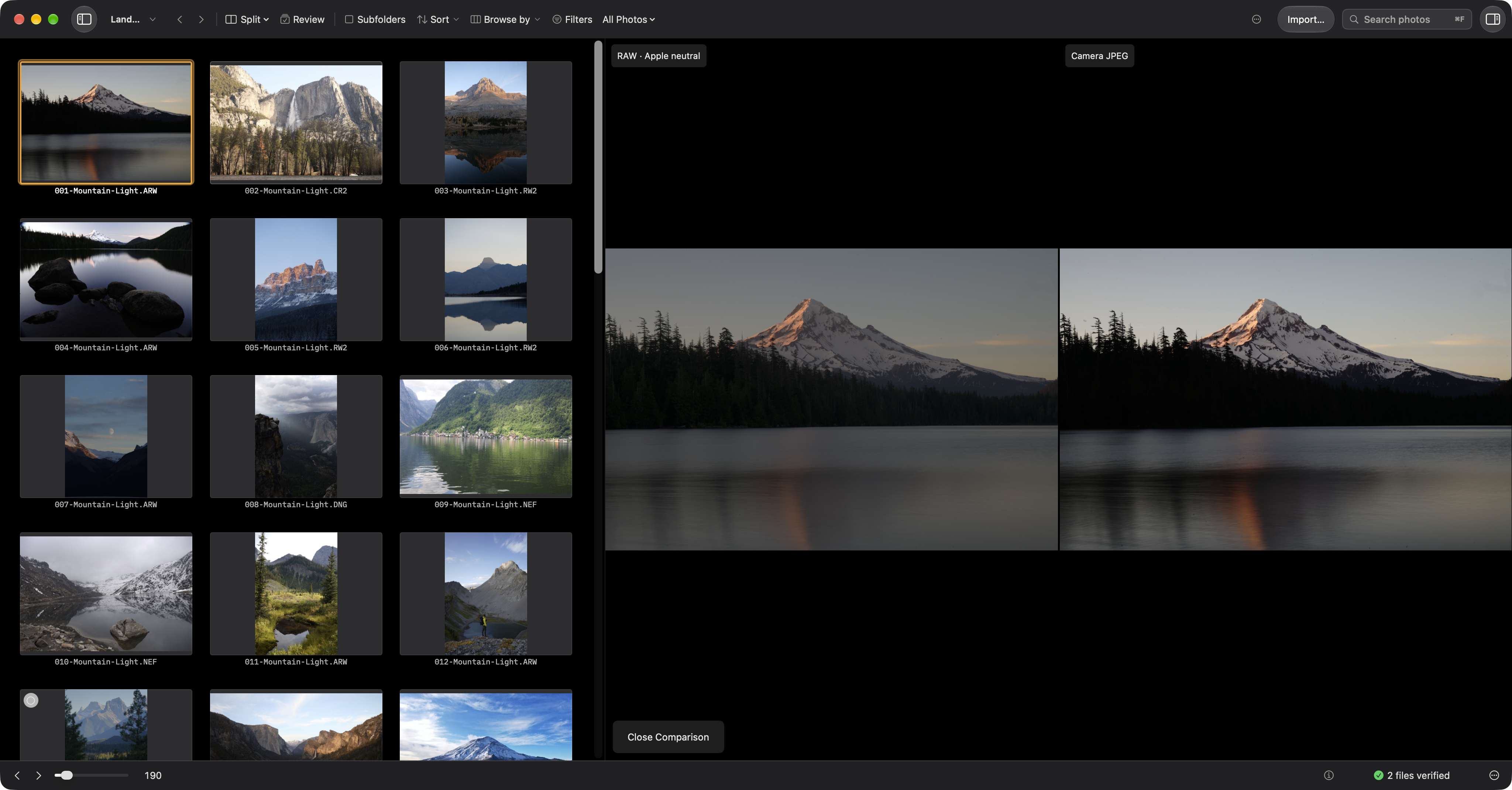 RAW rendering beside the camera JPEG